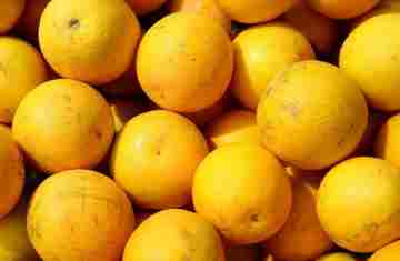  Hortigranjeiros do Paraná estão com preços mais acessíveis ao consumidor no começo de 2026